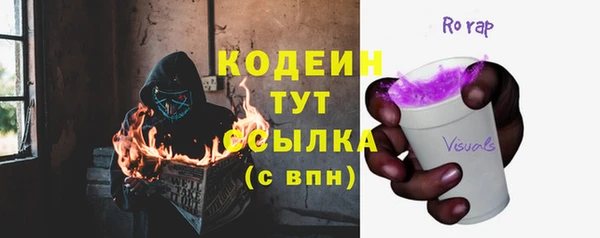 прущие грибы Балабаново