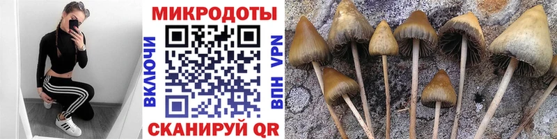 даркнет сайт  Морозовск  Галлюциногенные грибы мухоморы 